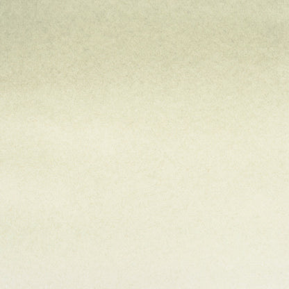 American Journey Artists' Watercolor - Coastal Fog, 15 ml, (PBr7/PW6)
