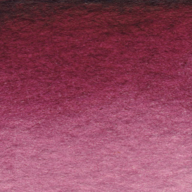  Quinacridone Violet