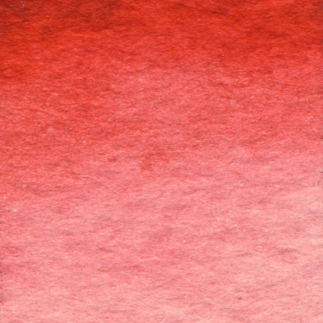  Coral Swatch